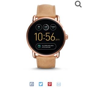 Fossil Q Wander